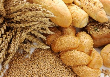 O que são Carboidratos?