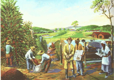 Ciclo do Café
