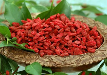 Goji Berry realmente emagrece?