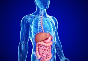 Operação Lava Jato