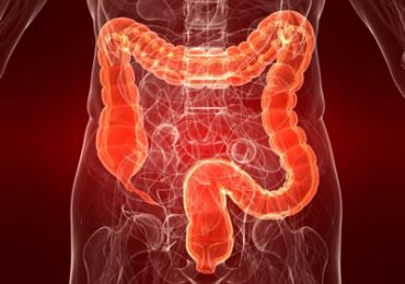 Intestino
